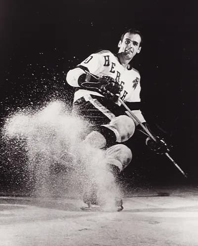 harvey michel