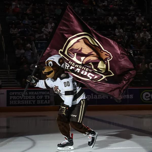 Coco the Bear skating on the ice at GIANT Center.